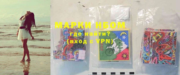 хмурый Верея