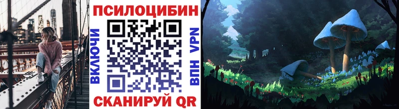 хочу   Каменск-Шахтинский  omg зеркало  Псилоцибиновые грибы Psilocybe 